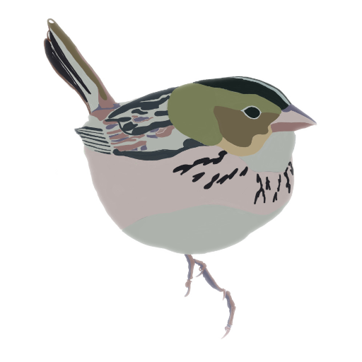 Essex Birds Logo